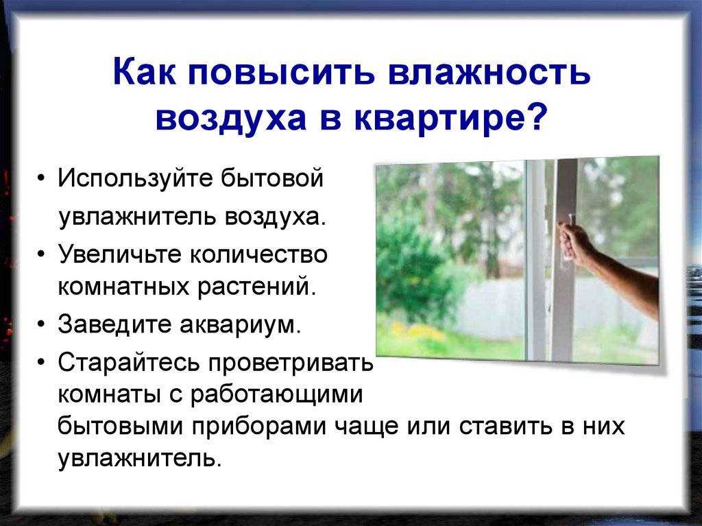 Как очистить воздух в квартире от пыли, плесени, бактерий и запахов