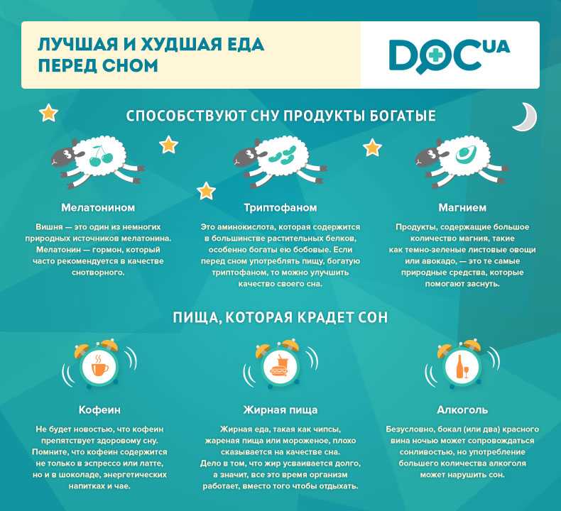 Что можно съесть на ночь. на ночь кушать вредно: правда или миф?