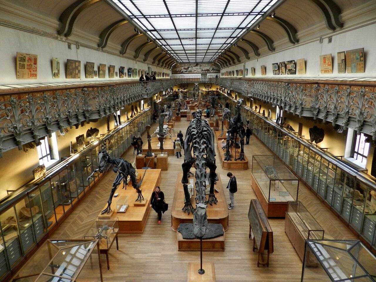 Выставка в музее или музеи. государственный дарвиновский музей