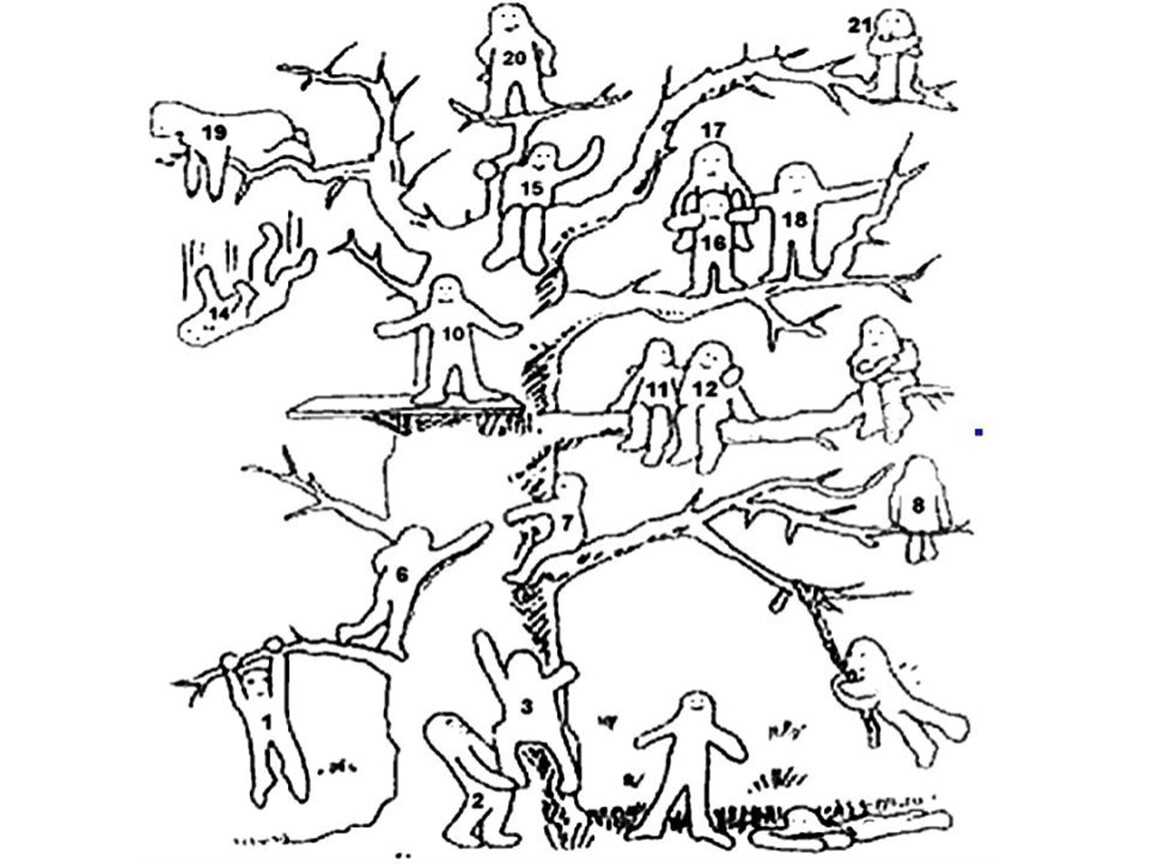 Как избавиться от хлама в квартире