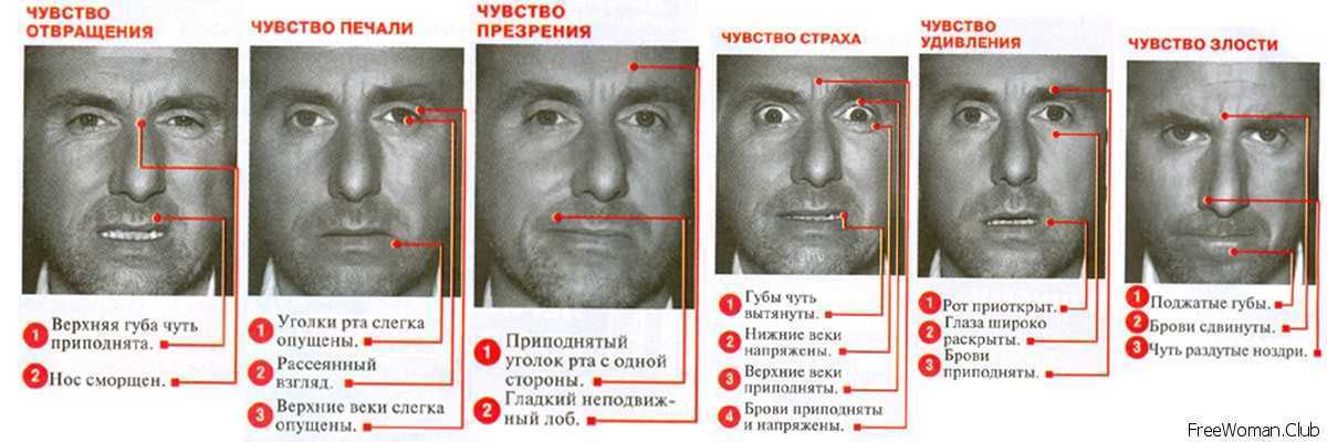 Как распознать ложь: по жестам, мимике, в общении | блог 4brain