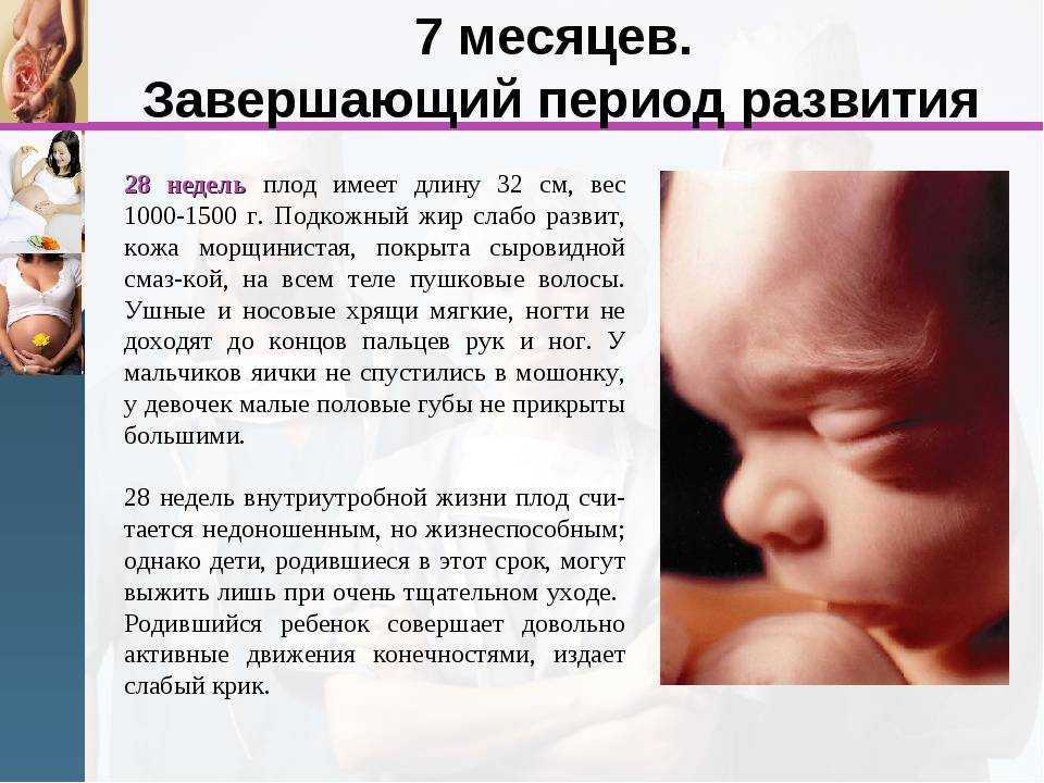 Что должны знать будущие мамы о своем организме и развитии плода на 28-й неделе беременности читайте в нашей статье
