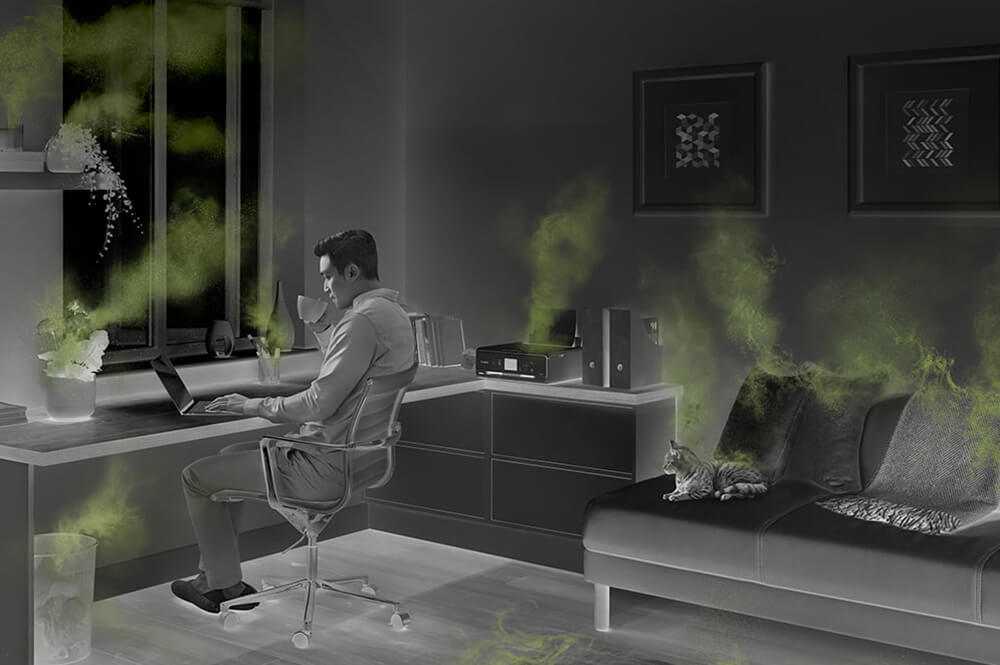 Дышать здоровьем: как улучшить воздух в квартире - хайтек - info.sibnet.ru