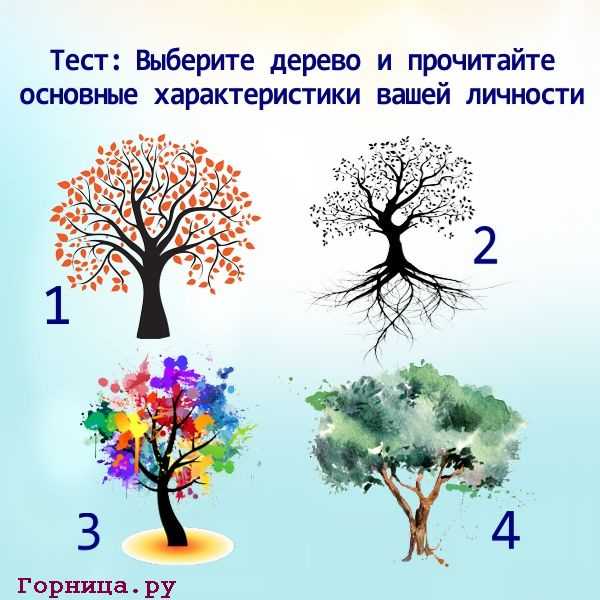 Влияние беспорядка и ненужных вещей в доме на нашу жизнь / блог
архитектора дмитрия новикова