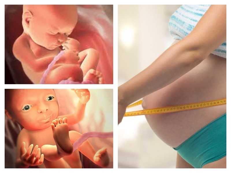 ➤ 28 неделя беременности всё что нужно знать будущим родителям