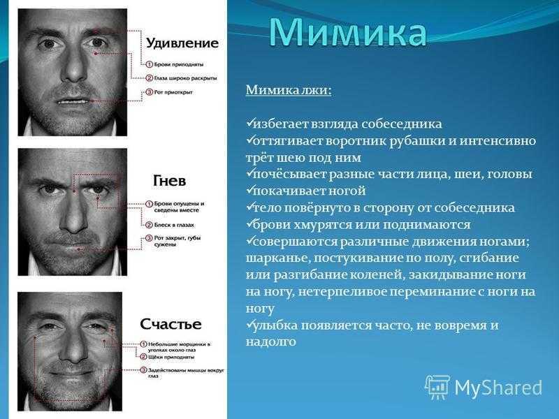 Познавательная психология: как распознать ложь без полиграфа?