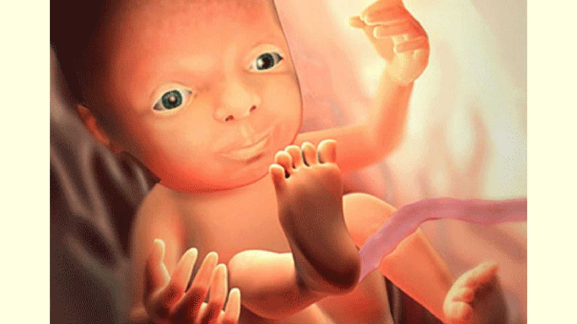 28 неделя беременности: развитие плода, изменения в женском организме, видео, фото узи