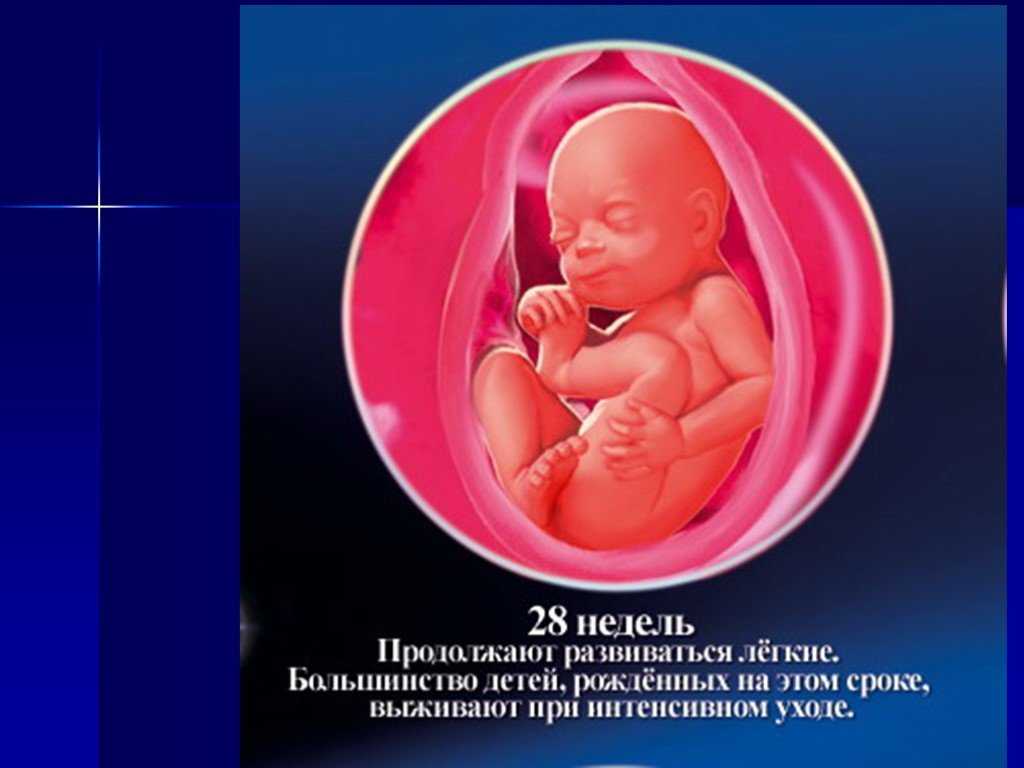 28 неделя беременности: шевеления, фото животиков, узи