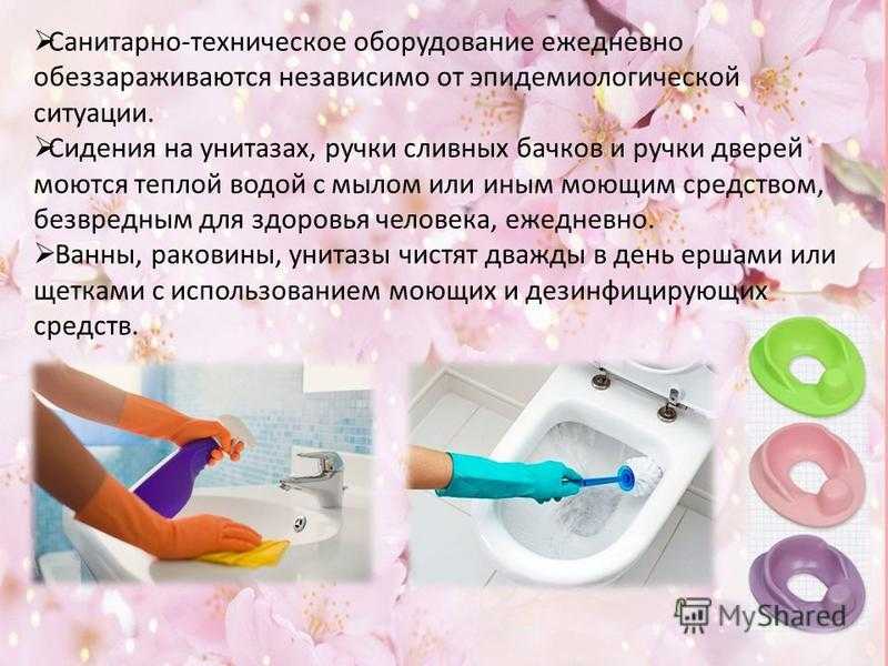 Что делать, если слайм с плесенью