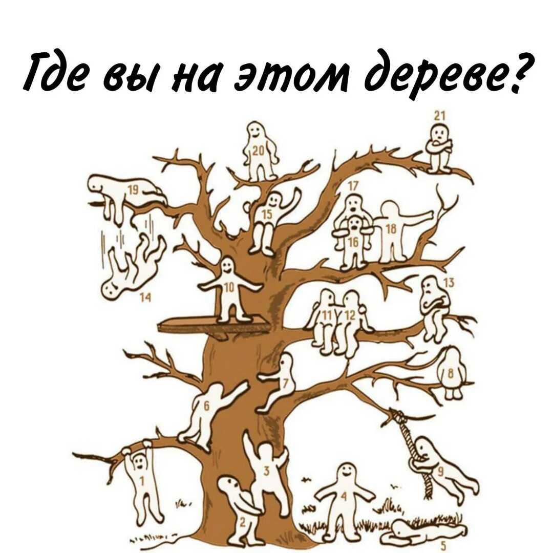 Пошаговый план уборки (и немного от хлама). чистую энергетику в каждый дом!