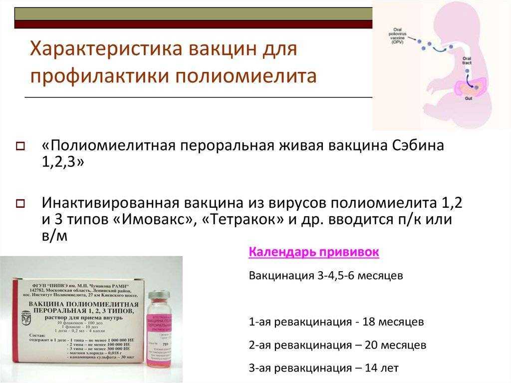 Живая вакцина от полиомиелита и непривитый ребенок: можно ли заразиться от привитого