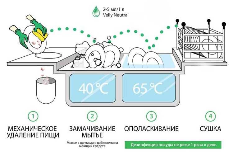 Что такое плесень для детей?