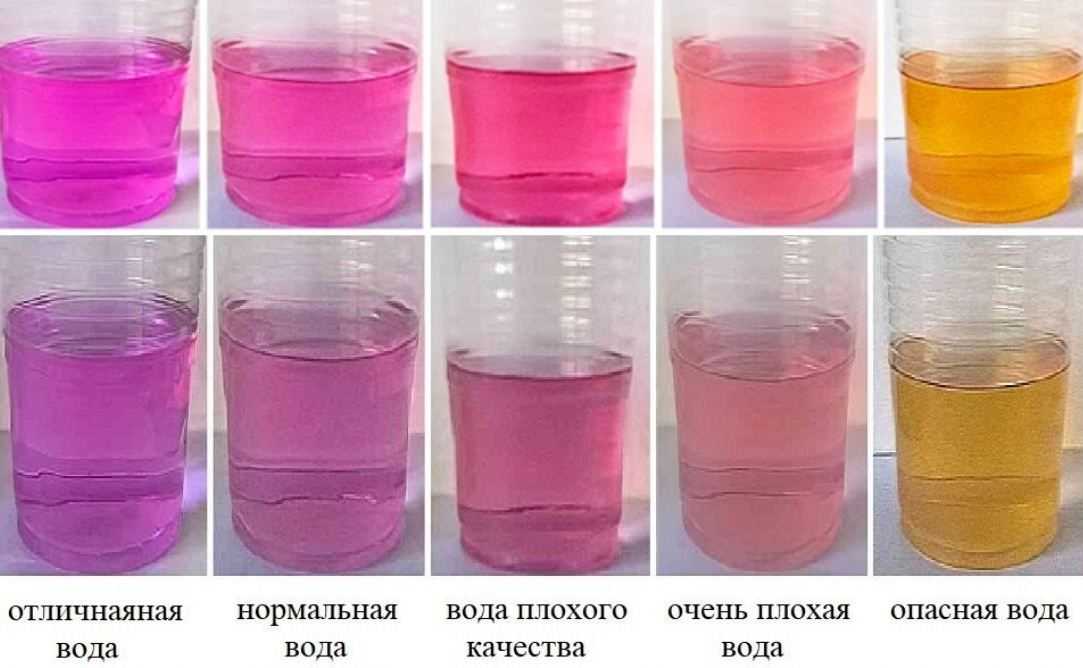 Том тит: научные забавы