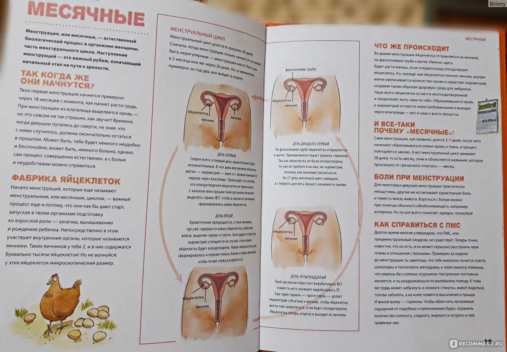 Как и когда рассказать девочке о месячных | как объяснить дочке о первых месячных | o.b.®