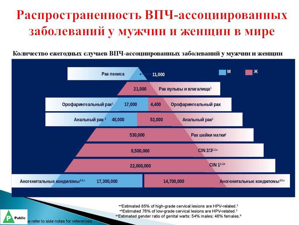 «без впч не бывает рака шейки матки, но наличие вируса не означает, что рак будет»