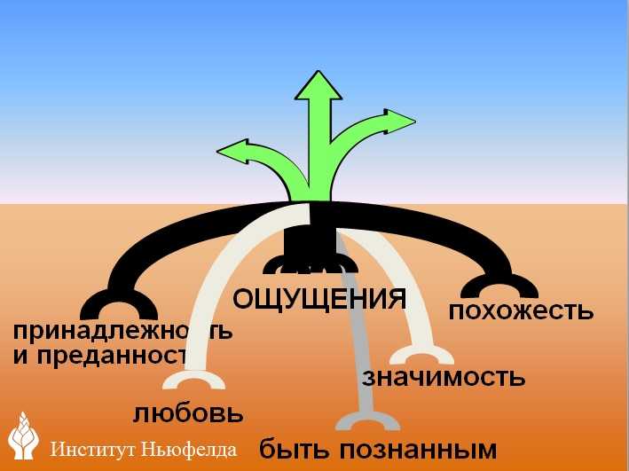 5 языков любви: как вести себя с ребенком, чтобы он чувствовал себя любимым?