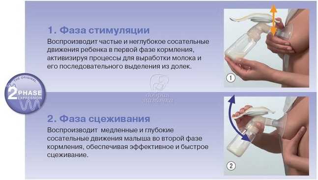 Как сцеживать и хранить грудное молоко