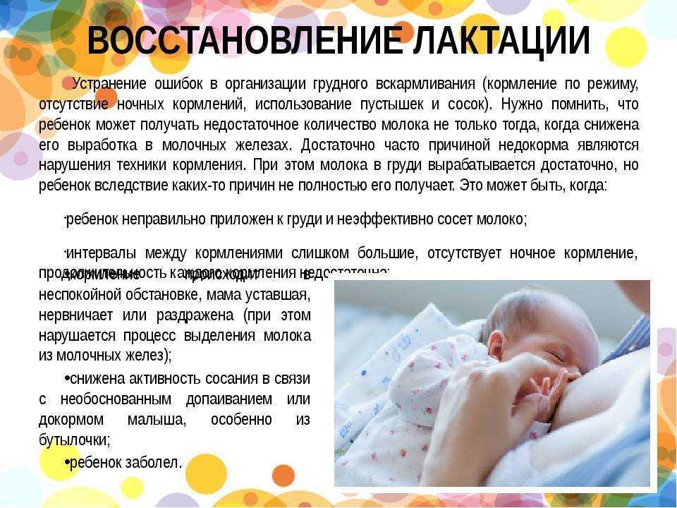 Что нужно знать молодой маме о грудном вскармливании