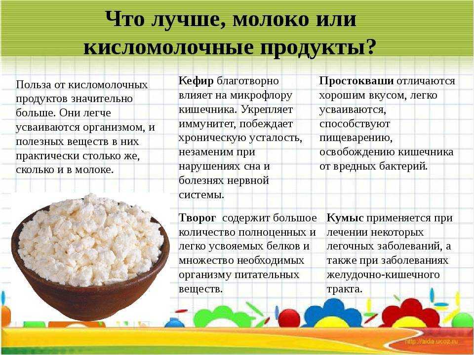 Особенности термостатного способа производства кисломолочных продуктов