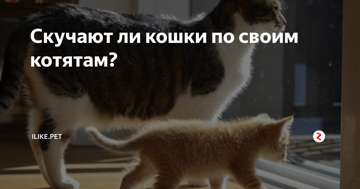 Для девушки, родившейся в СССР, месячные были темой болезненной во всех смыслах В возрасте примерно 12 лет каждая из нас становилась членом клуба похлеще Бойцовского, с такими же строгими правилами и запретами