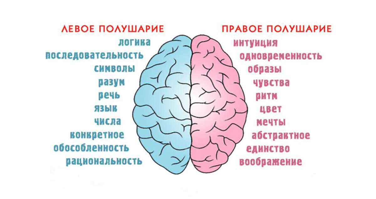 Советы нейропсихолога: как стимулировать ребенка к учебе
