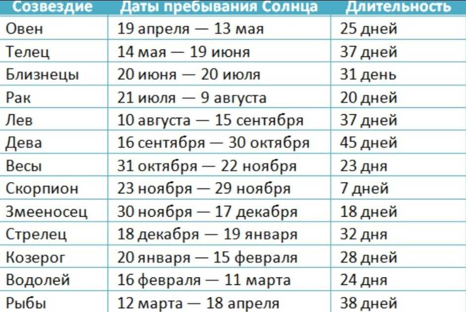 Характеристика людей, родившихся в год обезьяны: их жизненные кредо и особенности характера