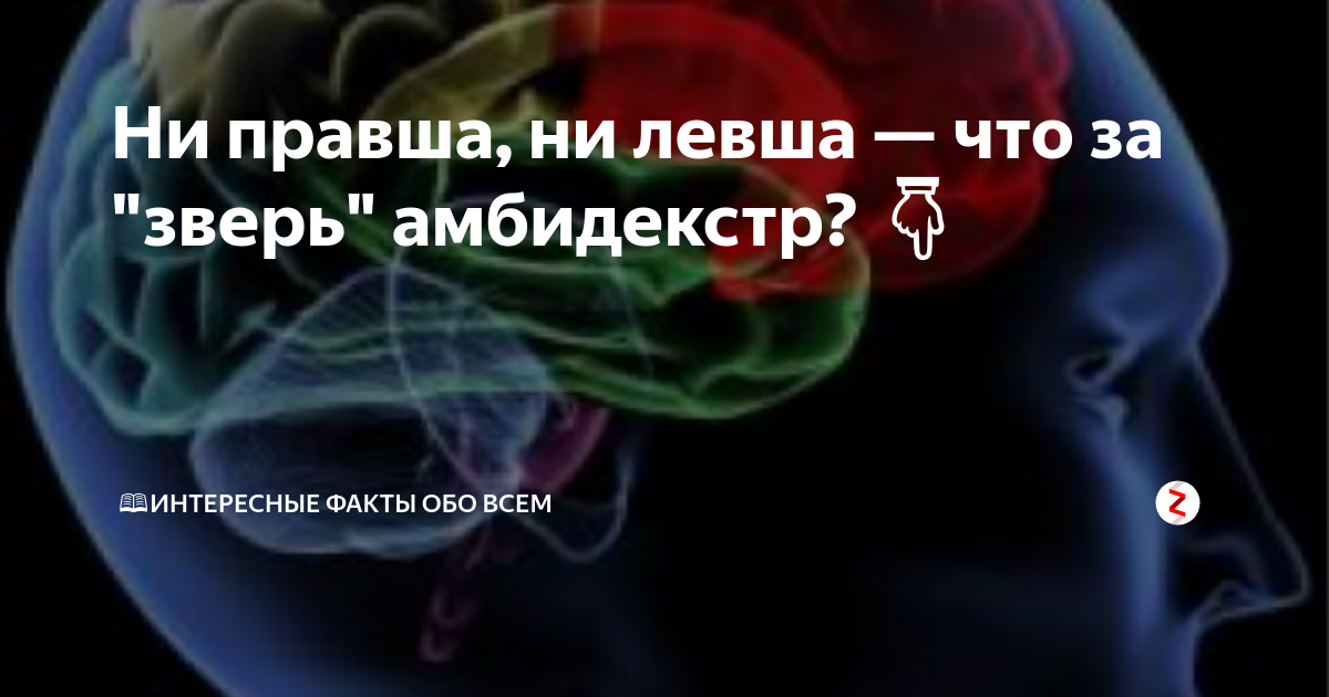 Чем отличается левша от правши — основные отличия | в чем разница