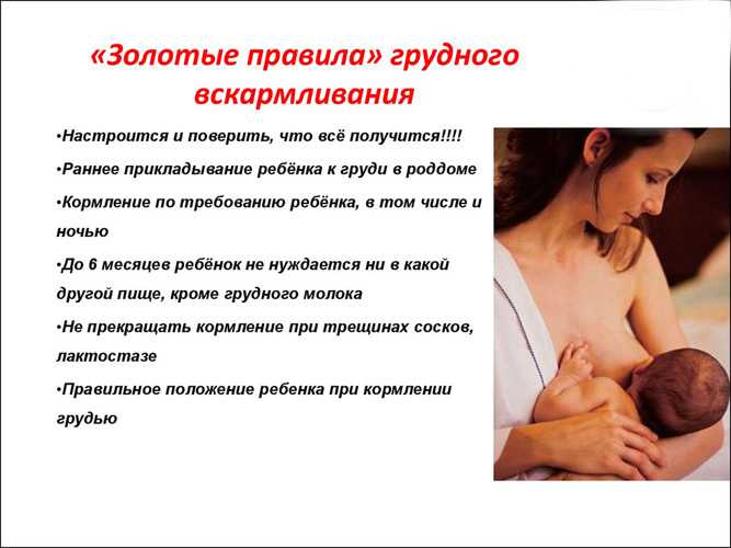 Лактация - что это такое? почему пропадает? как стимулировать и как правильно прекращать лактацию?
