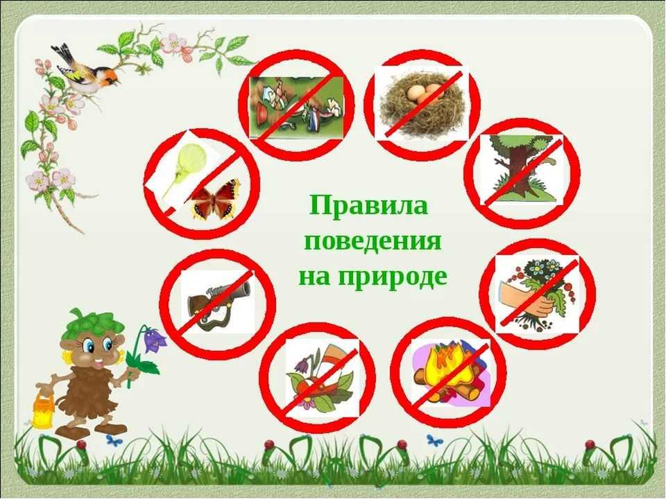 Безопасность детей дома