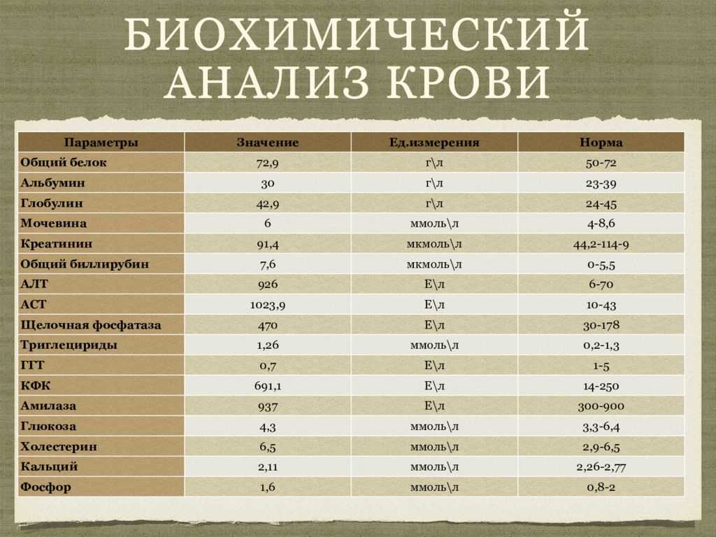 Повышенные лимфоциты в крови у ребенка: 7 причин повышения, подготовка к анализу, расшифровка результатов