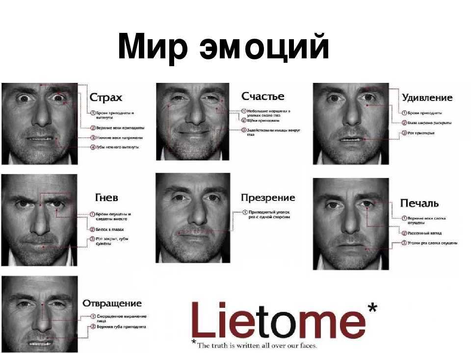 Как распознать ложь: по жестам, мимике, в общении