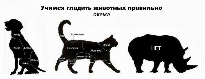 Курение во время беременности: мифы, последствия, методики отказа