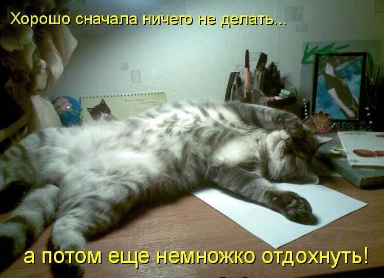 Телесные наказания в школах. телесные наказания в семье и школе