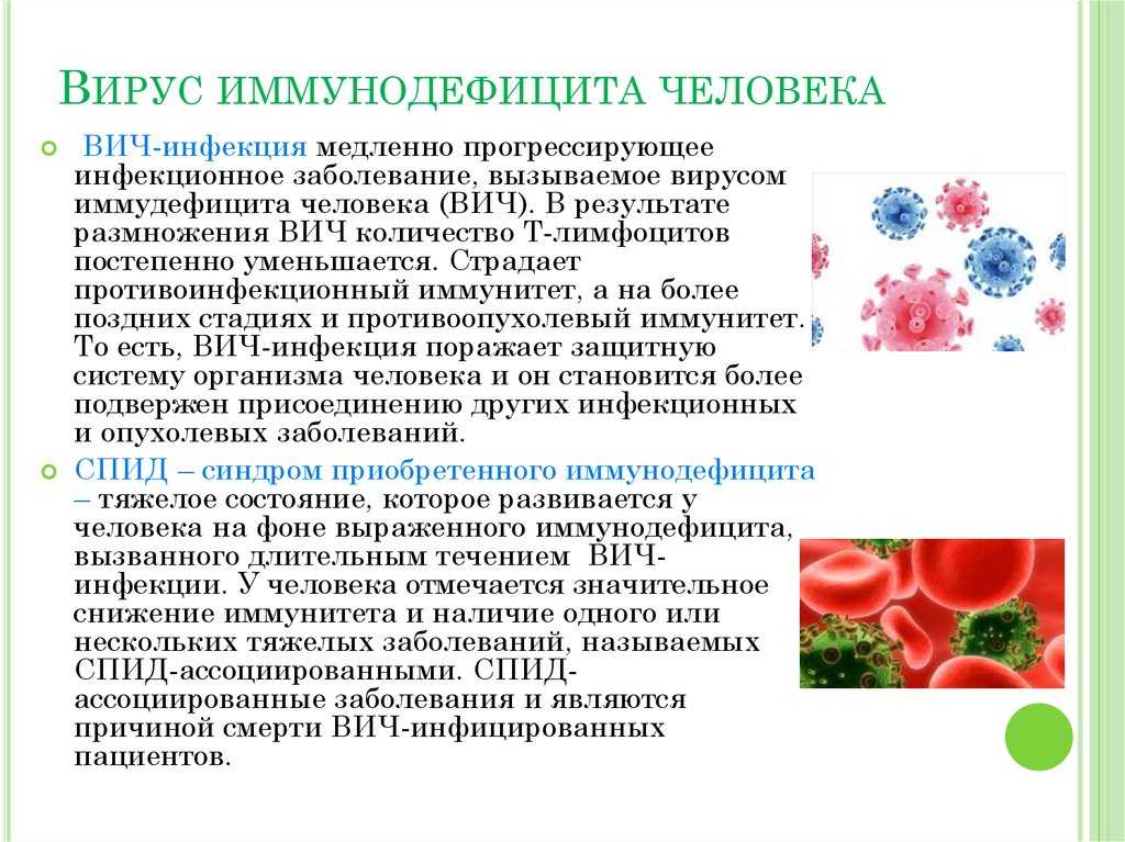5 относительно обнадеживающих фактов о вич-инфекции - новости медицины