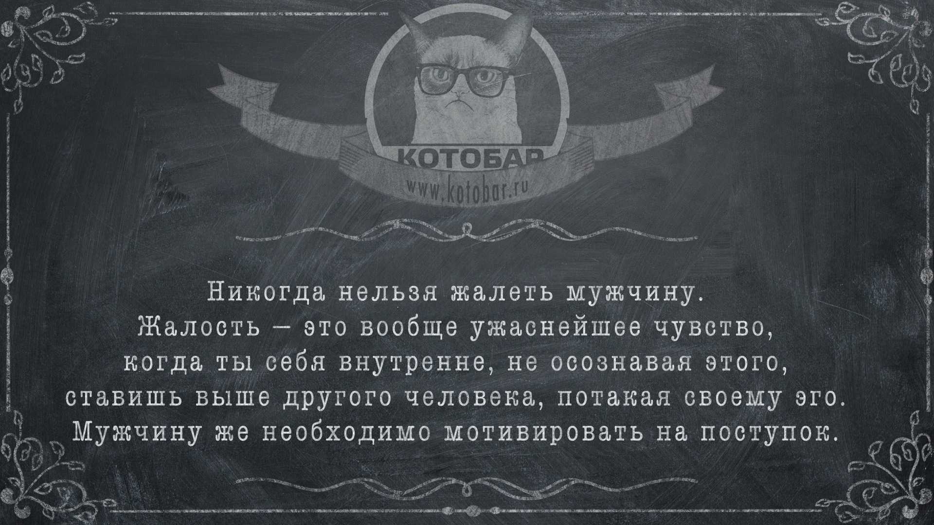 Жалеть их совершенно не хочется