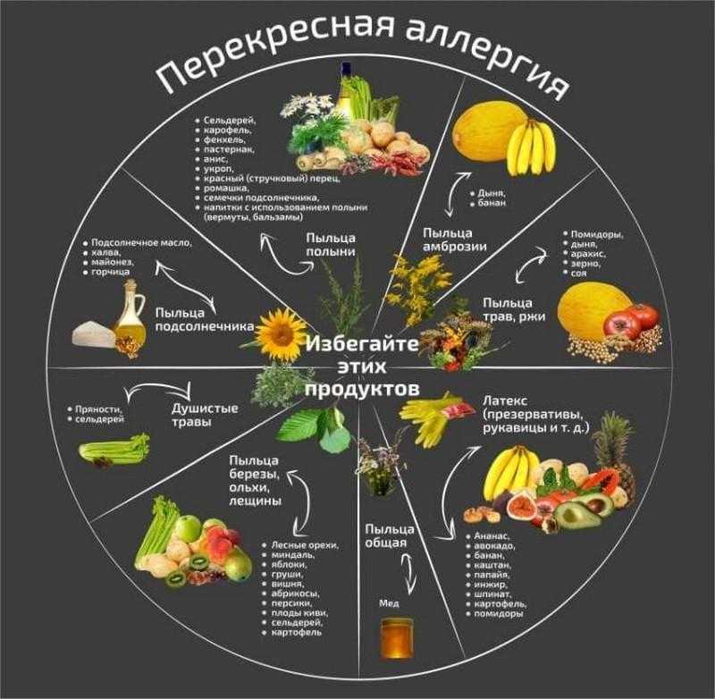 Питание детей в детском саду ребенок аллергик. питание ребенка-аллергика в детском саду. отвечает сергей булатников, юрист