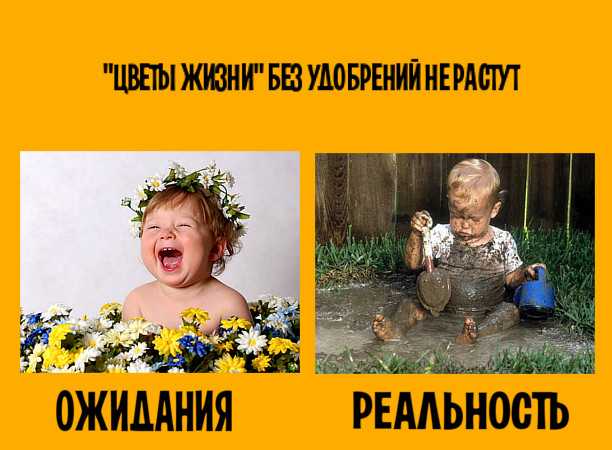 Как совмещать учёбу и спорт — могут ли занятия спортом мешать учёбе? что выбрать, спорт или учёбу? | сила лиса