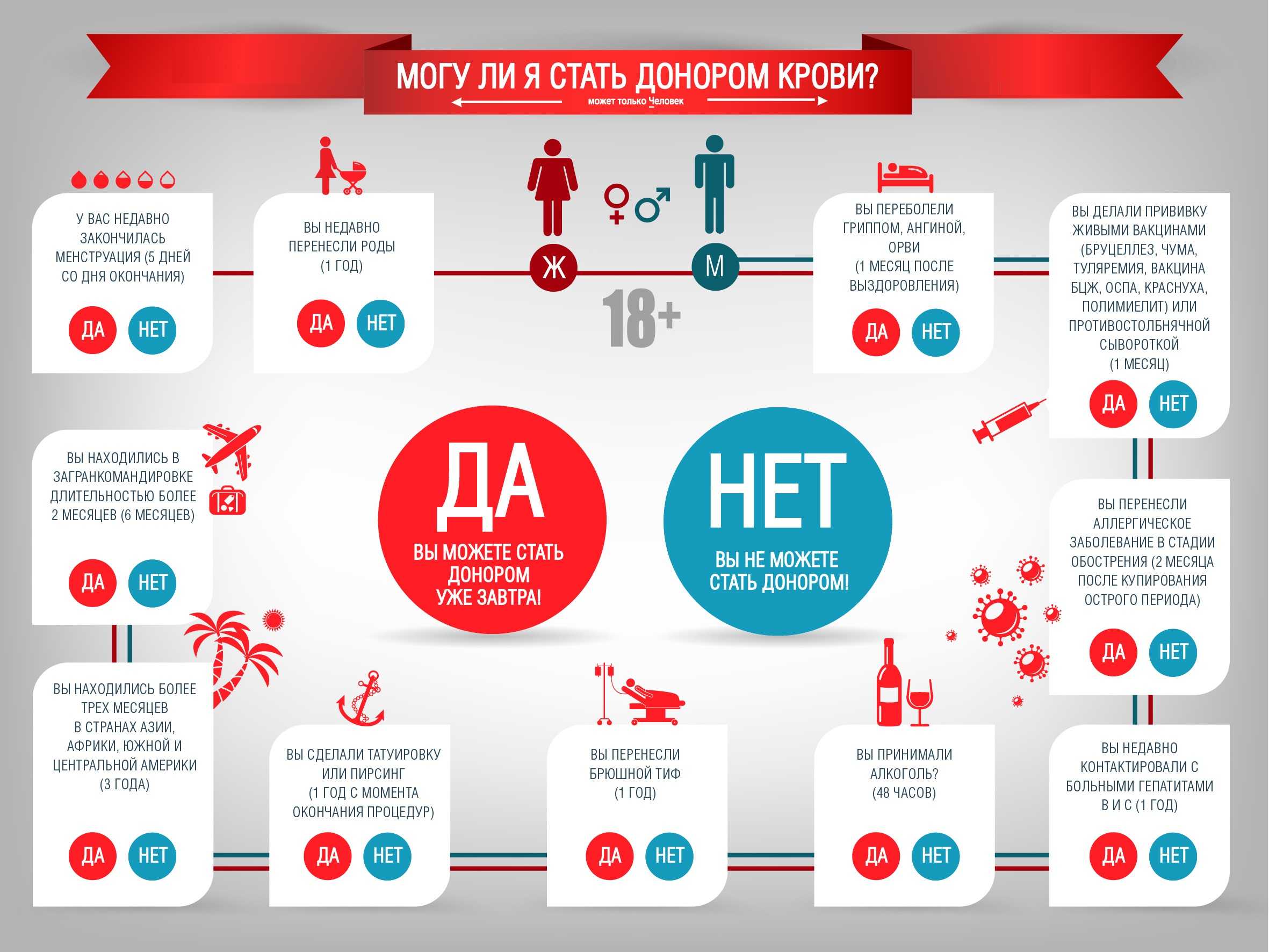 Как правильно сдать кровь донору: порядок сдачи