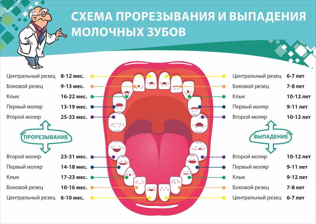 Прикус у ребенка: можно ли предотвратить нарушения?