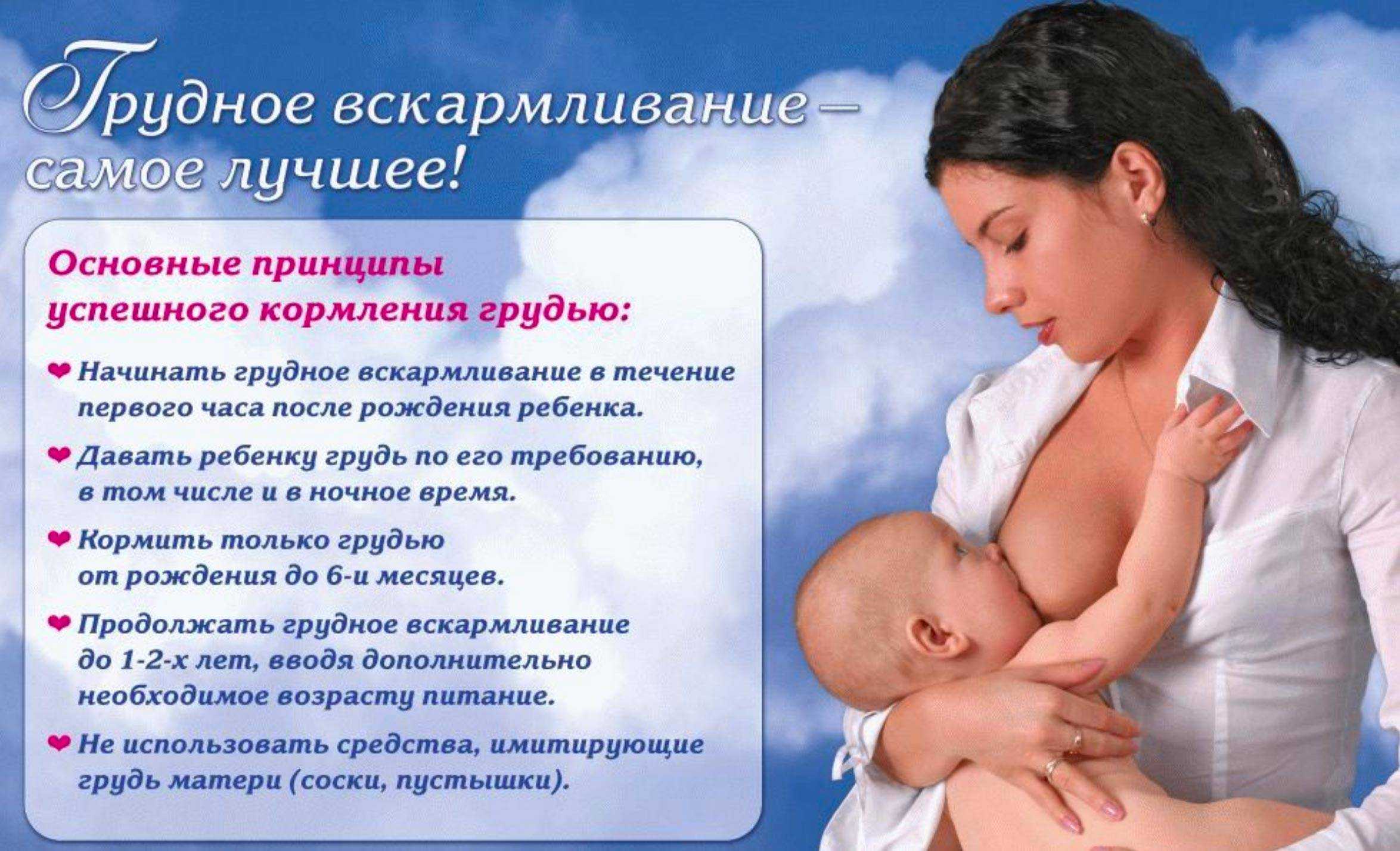 Почему нельзя отлучать летом? перестать кормить летом! | уроки для мам