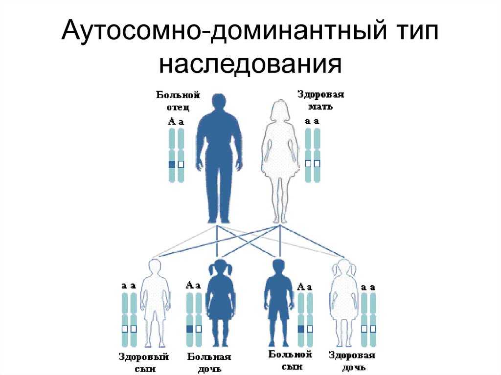 9 вопросов о том, как генетика влияет на развитие и обучение детей / skillbox media