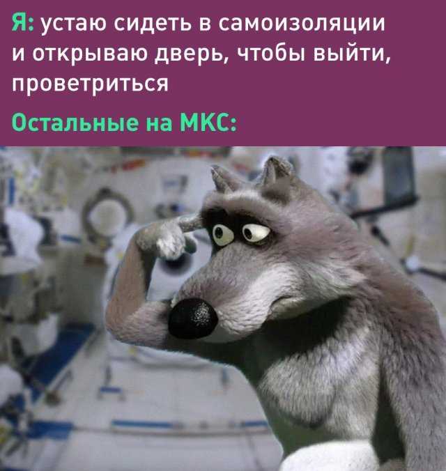 Шутки про самоизоляцию