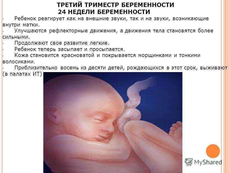 22 неделя беременности — это важный этап в развитии малыша. формирование плода и физиологические изменения у женщины
