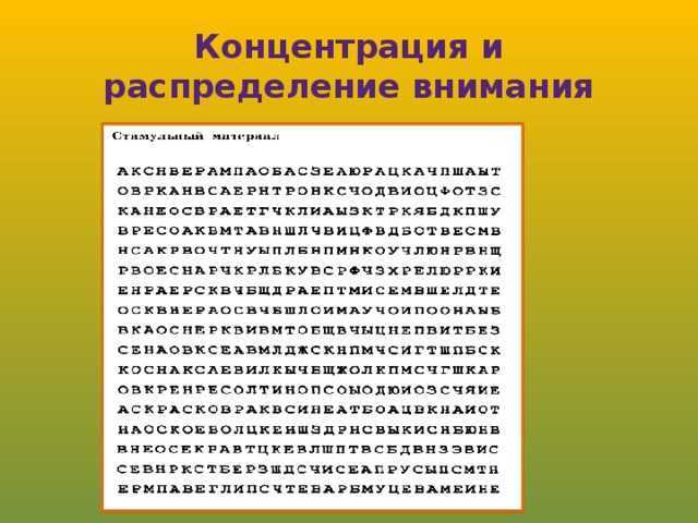 Внимание человека - виды, свойства, функции