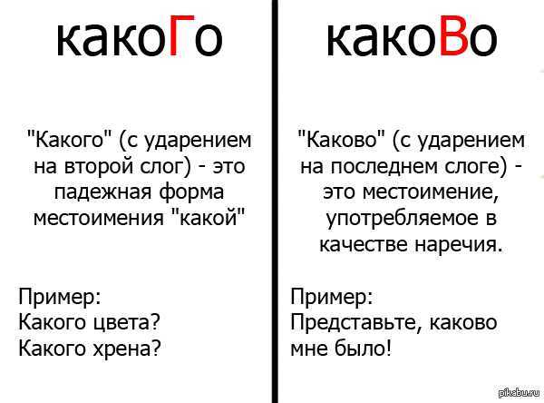 Девушка учится в знаменитом музыкальном колледже