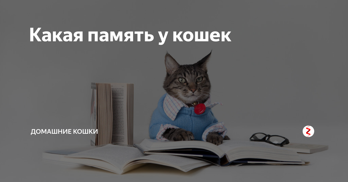 Как справиться с «этими днями» в школьный период
