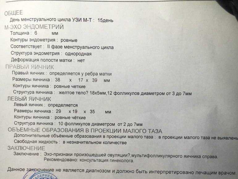 Анализы и узи после родов: какие нужно пройти?