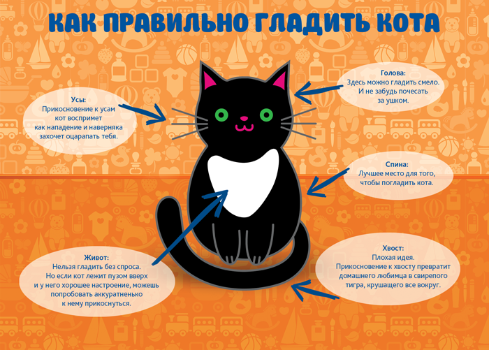 10 заповедей доктора комаровского
