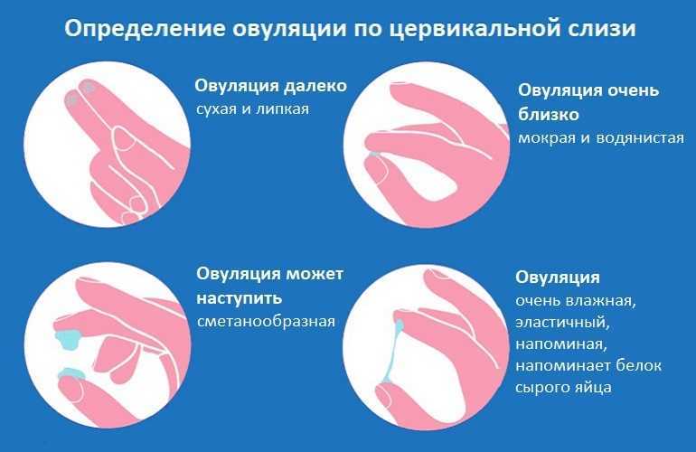 Пмс и увеличение аппетита у женщин: что показывают последние исследования