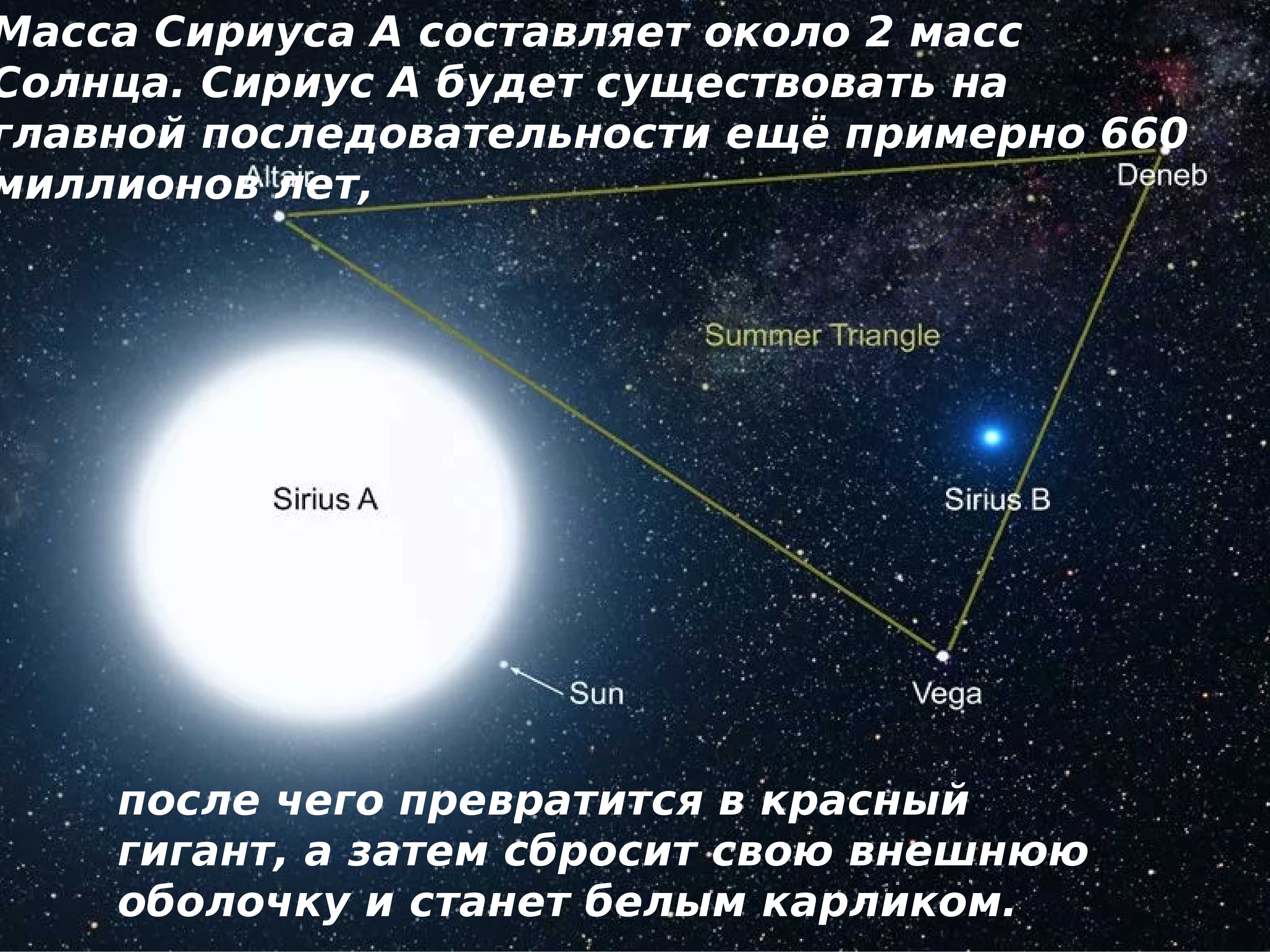 Красавица или умница? 10 звезд, которые могут гордиться и тем, и другим | кто?что?где?